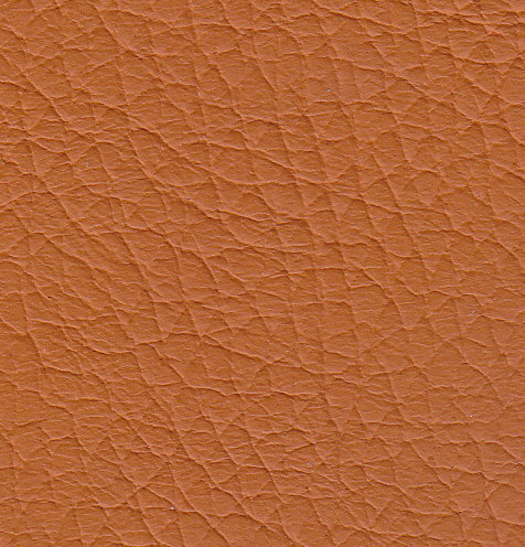 Burnt-Orange