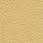Buttermilk-150x150