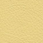Lemon-150x150