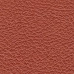 Spice-150x150