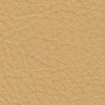 Zetland-150x150