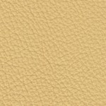 corn-150x150